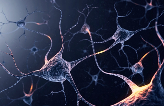 A system of neurons with glowing connections